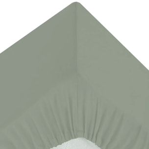 Drap-housse - percale - vert - 140x190 cm