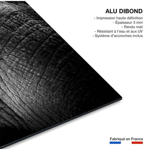 Tableau eléphant close up Tableau alu Dibond