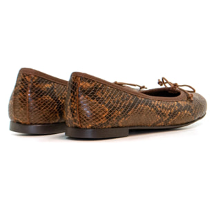 -BAILARINA DEBORAH AMAZONIA NATURAL