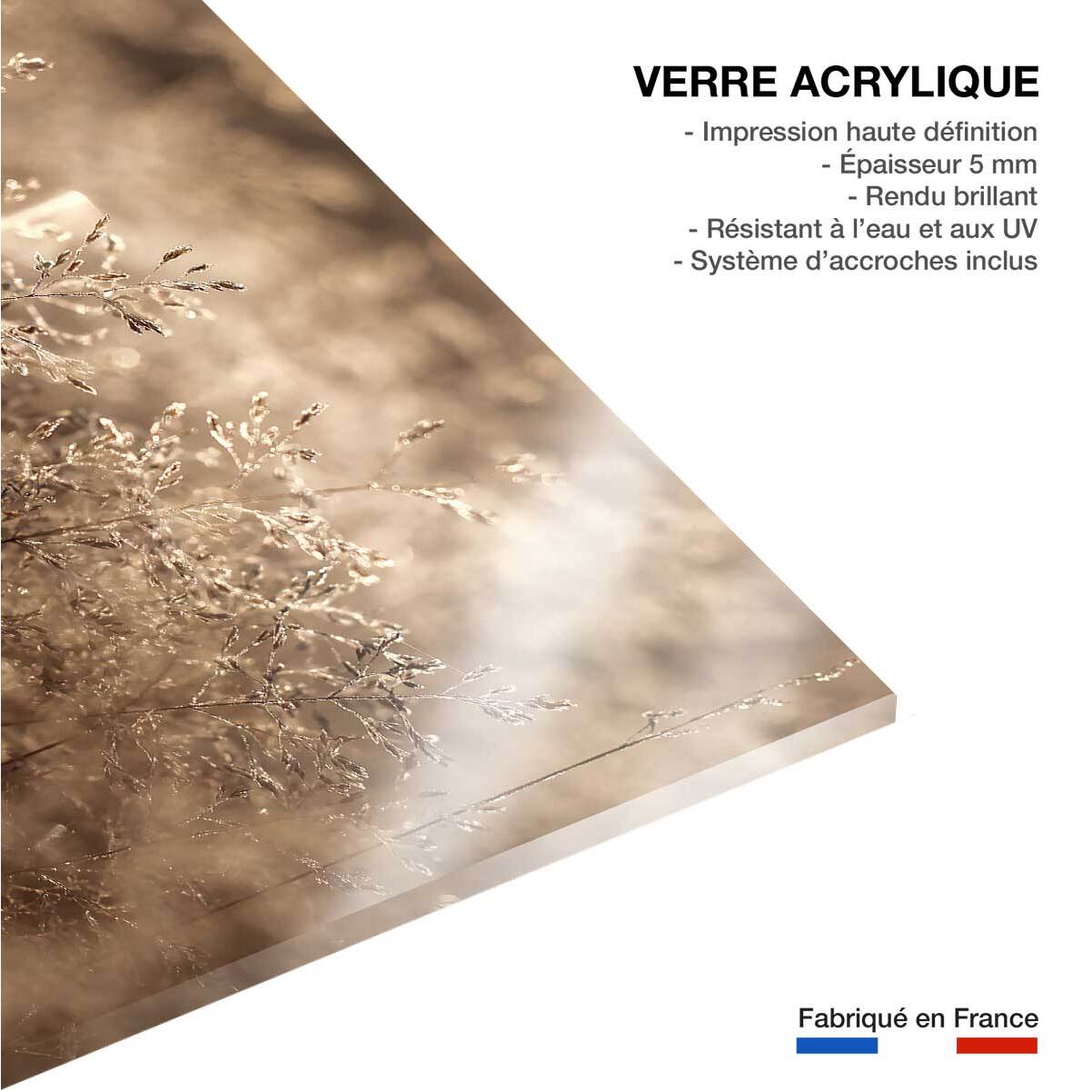 Tableau fleurs field grass Tableau plexiglas