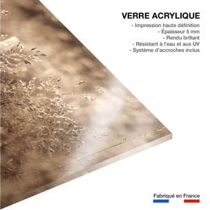 Tableau fleurs field grass Tableau plexiglas