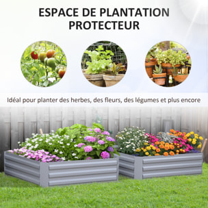 Lot de 2 carrés potager de jardin dim. 100L x 100l x 30H cm tôle d'acier ondulée gris