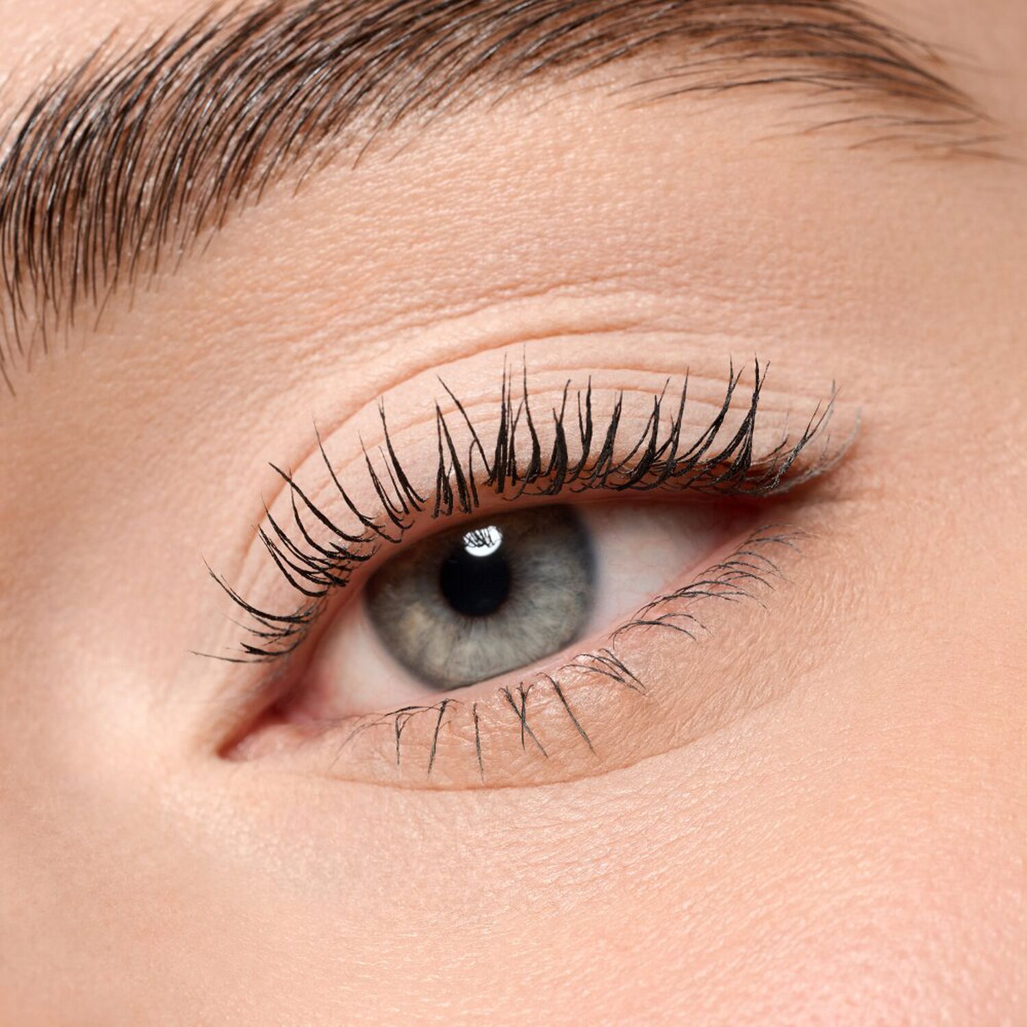 Mono Eyeshadow Matte - Ombre à Paupières Fini Mat Velouté