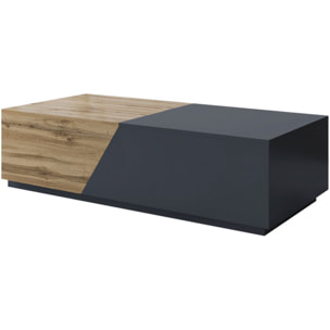 Table basse avec coffre "Ceelias" - 124 x 60 x 42 cm - Gris/Marron