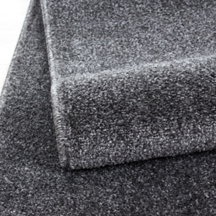 CALIFORNIE - Tapis uni à poils courts Gris