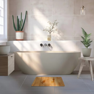 TAPIS DE BAIN DIATOMITE HANAE 60X39CM MSV