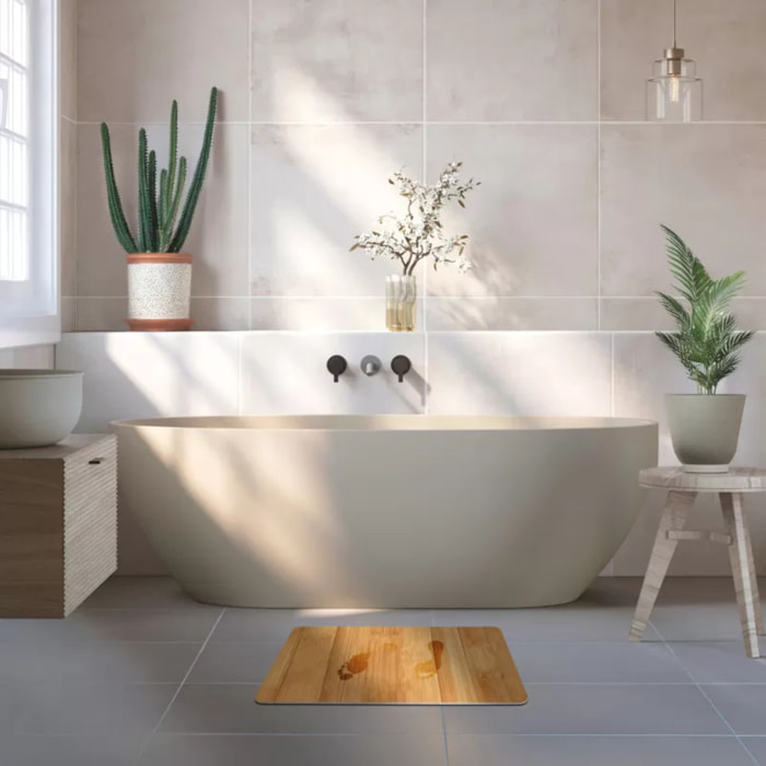 TAPIS DE BAIN DIATOMITE HANAE 60X39CM MSV