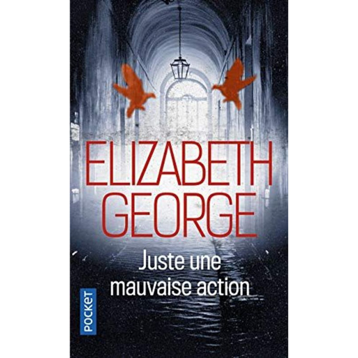 George, Elizabeth | Juste une mauvaise action | Livre d'occasion