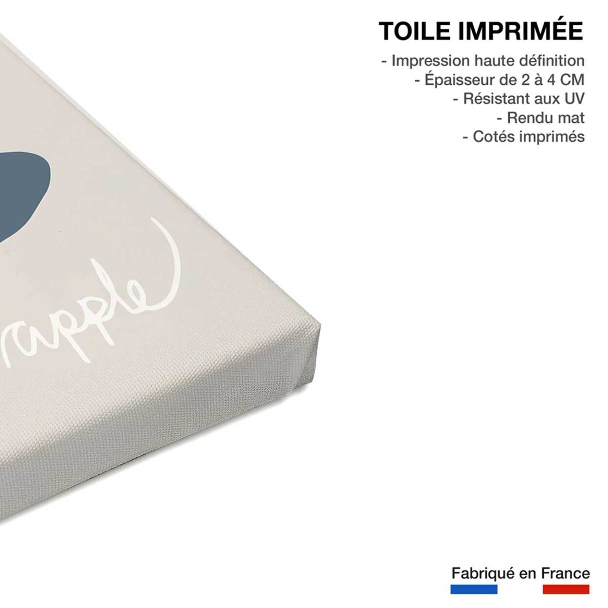Tableau apple-pomme Toile imprimée