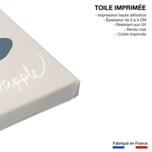 Tableau apple-pomme Toile imprimée