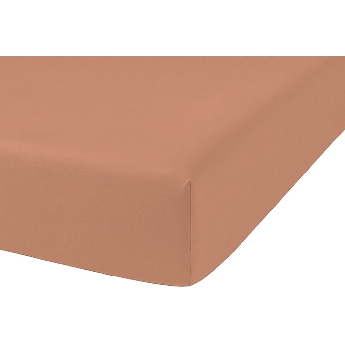 Drap Housse - Bonnet:30cm Coton 57fils Et Lyocell Terracotta