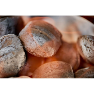 Briquette de charbon WEBER 8kg FSC