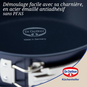 Moule à manqué à charnière 28 cm Dr Oetker Back Liebe