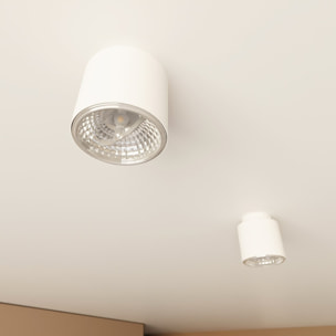 Faretto Nano in acciaio bianco