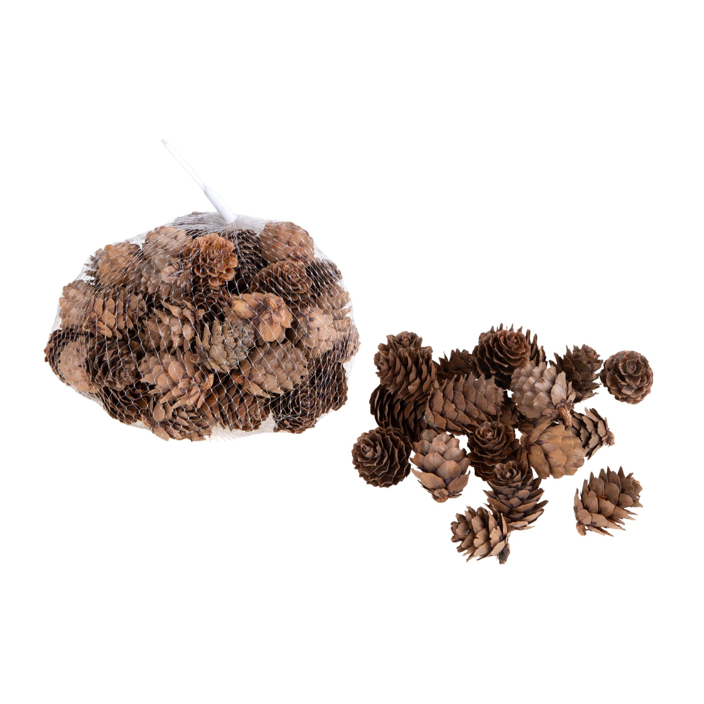 Mini pigne - Pezzi 8 - 15xH5x13cm - Bianchi Dino SpA