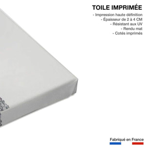 Tableau coconut palm Toile imprimée