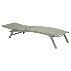 Transat Bonao vert laurier