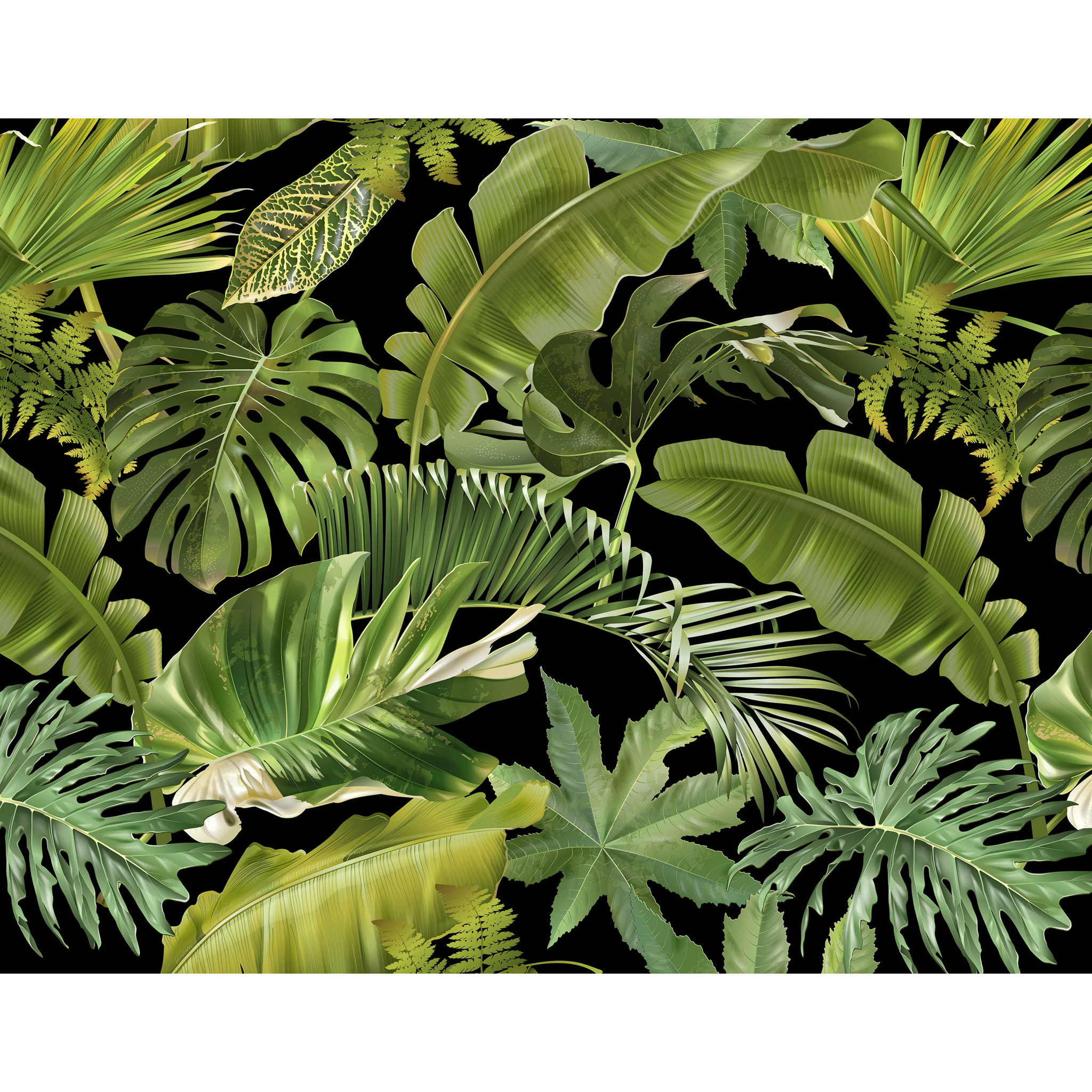 Papier peint panoramique Guyana