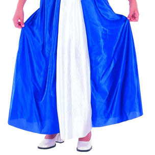 Abito Principessa Blu Costume Carnevale Blu Bianco Bambina