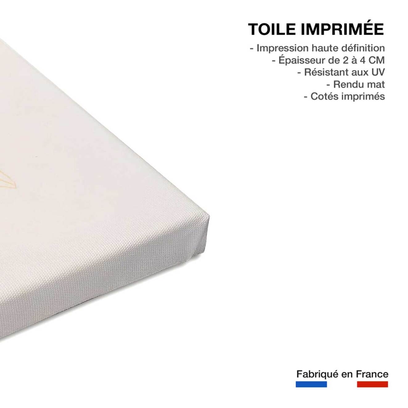 Tableau fleurs note rose  Toile imprimée