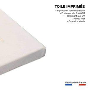 Tableau fleurs note rose  Toile imprimée