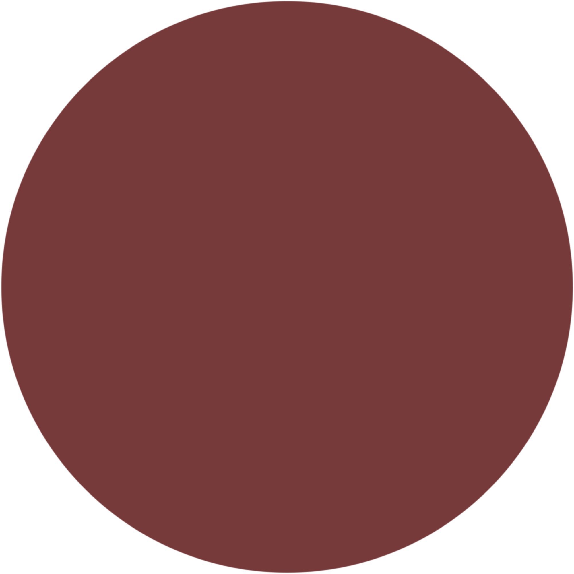 INTENSE LIP PENCIL Matita labbra dall’alta scrivenza e dal tratto preciso