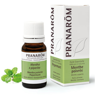 Pranarom - Huile Essentielle de Menthe poivrée - 10 ml