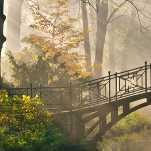 Affiche encadrée pont en forêt brumeuse Affiche + cadre en métal - Noir