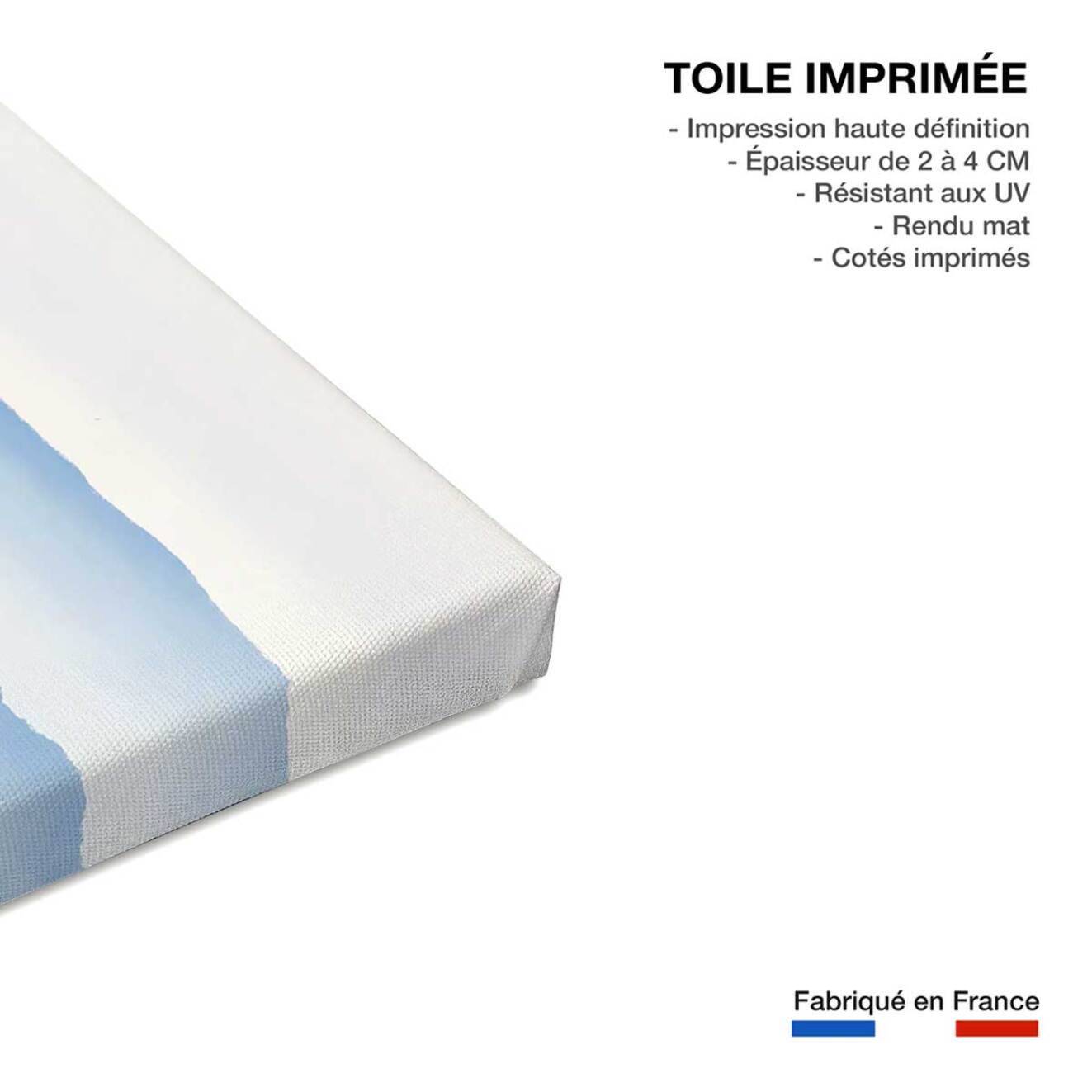 Tableau montagnes bleues Toile imprimée