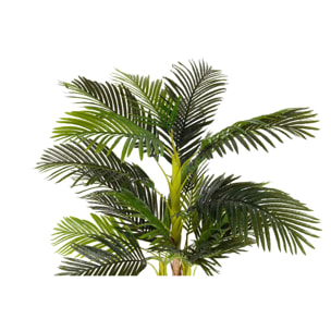 Planta Palmera Con Maceta 75x75x150 Cm