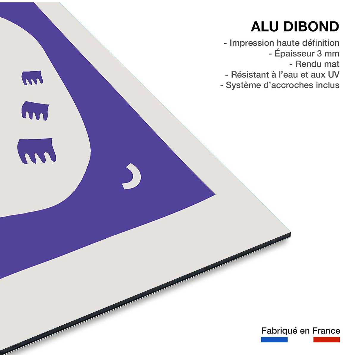 Tableau flying bird Tableau alu Dibond