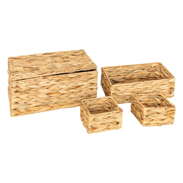 Lot de 4 paniers Lia jacinthe d'eau L12/27/33cm