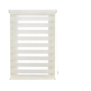 Store enrouleur Polyester Translucide 37x180