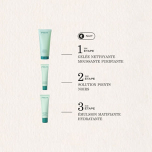 Pâte Grise - Solution Points Noirs 30 ml