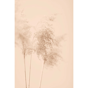 Tableau des champs sauvages Toile imprimée