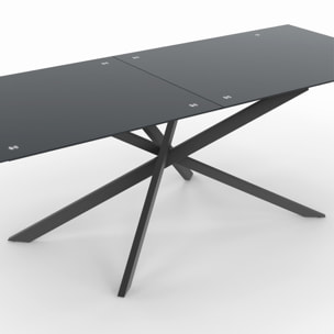 Table de jardin Spider 240cm verre trempé et métal
