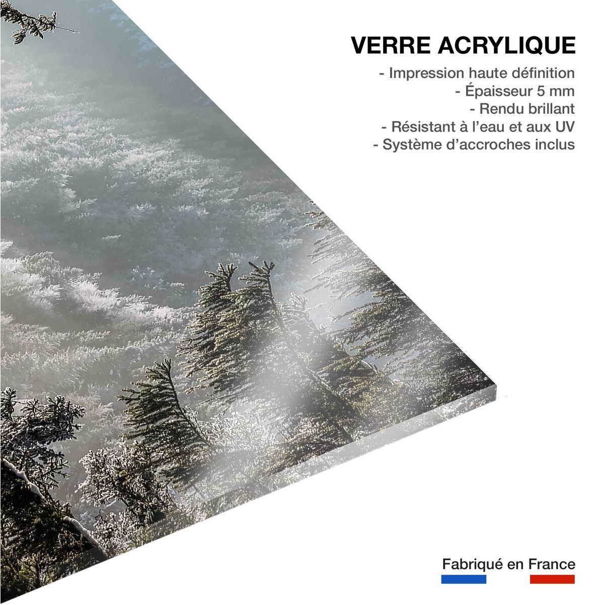 Tableau forest in fog drama Tableau plexiglas