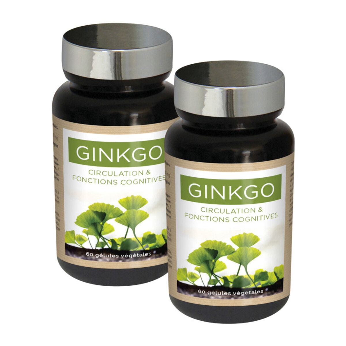 NUTRI EXPERT - Ginkgo Biloba - Préservation mémoire et fonctions cognitives - Soutient la circulation périphérique - Complément Alimentaire Végan - Cure 30 jours - Marque Française - Lot de 2 produits