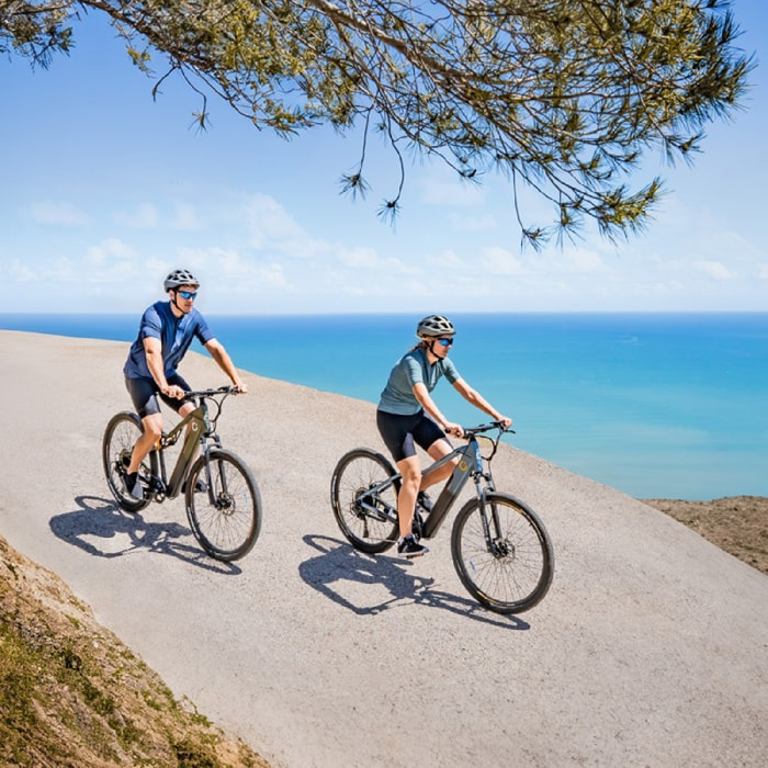 Cecotec Vélo électrique Mountain Avanti