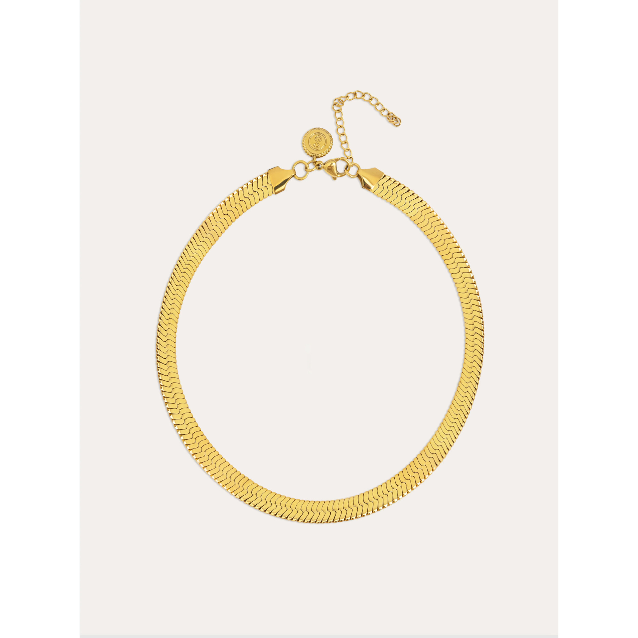 Collar Big Lisse Acero Baño Oro