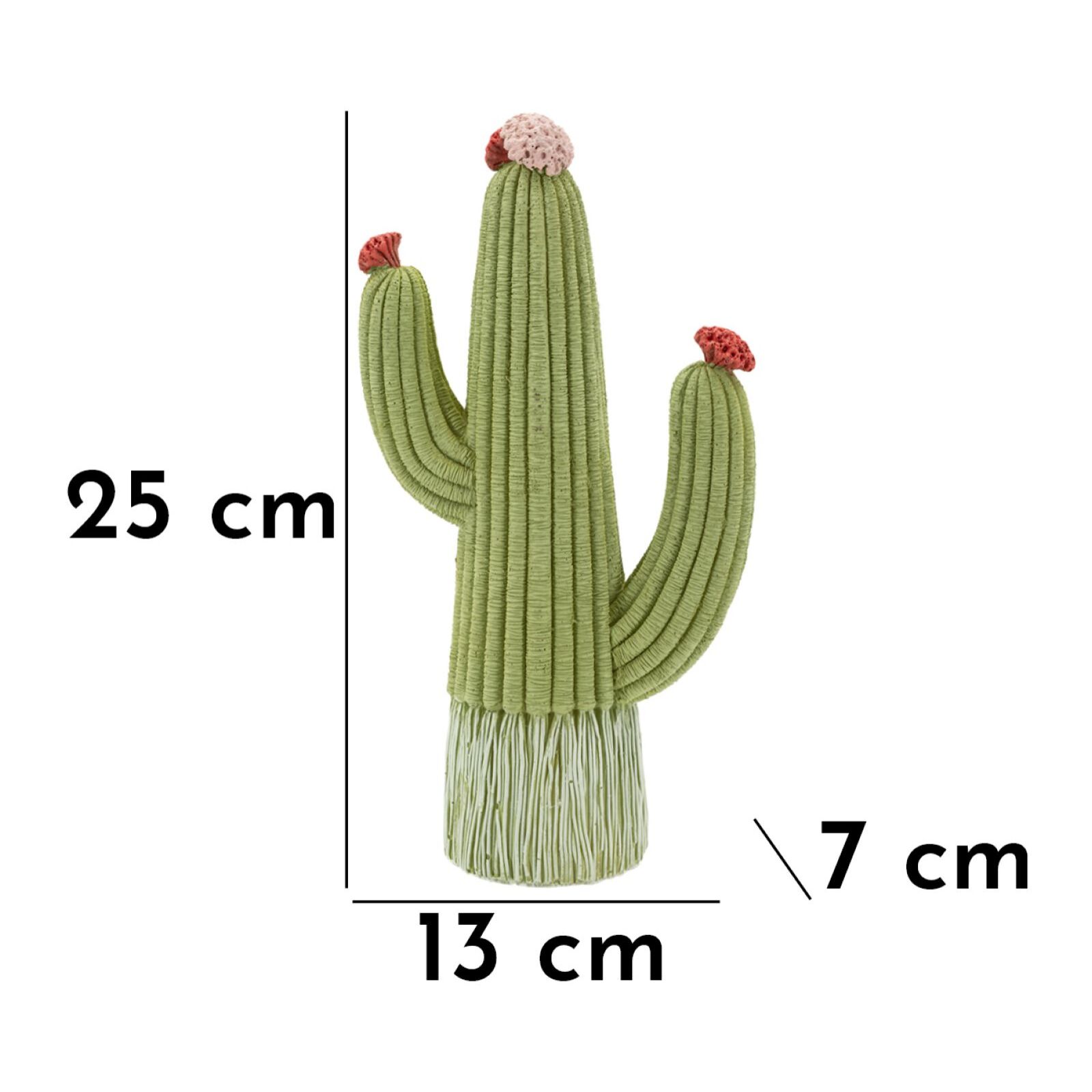 CACTUS CM 13X7X25