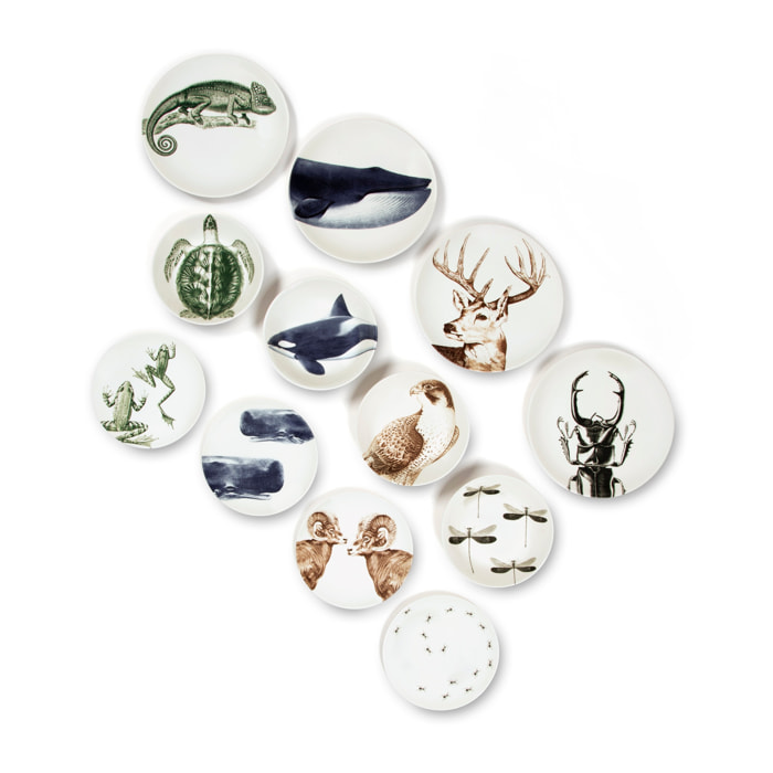 Servizio piatti 12 pezzi Excelsa – Faune & Flore, Ceramica Multicolore