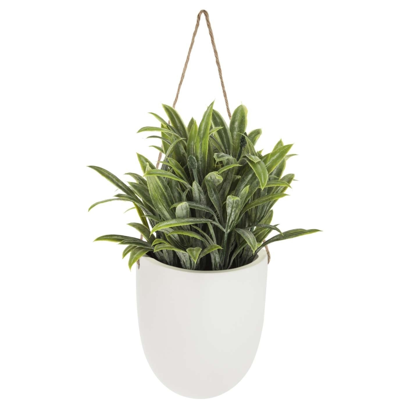 Planta colgante madi 20cm