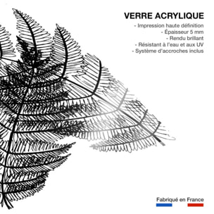 Tableau landes fougères Tableau plexiglas