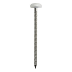 Boîte de 100 Pointes annelées inox A4 ACTON - tête bombée PVC - 50 x 2.5mm - 647882,5X50CDT100P