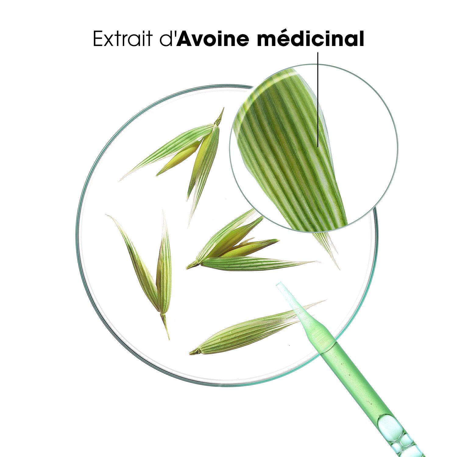 Lait d'Avoine - Shampoing Extra-Doux