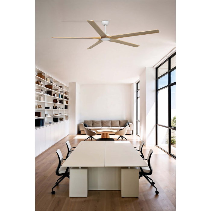 BIGWOOD 20 XL Ventilador de techo blanco/pino