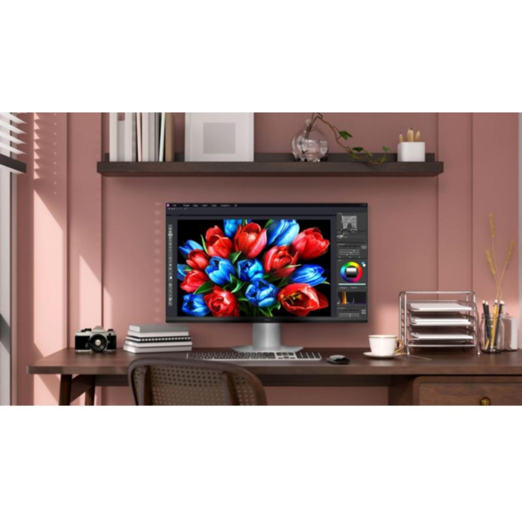Ecran PC Gamer TCL QD-Mini LED 25''144Hz IPS