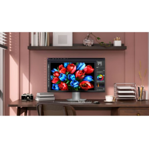 Ecran PC Gamer TCL QD-Mini LED 25''144Hz IPS