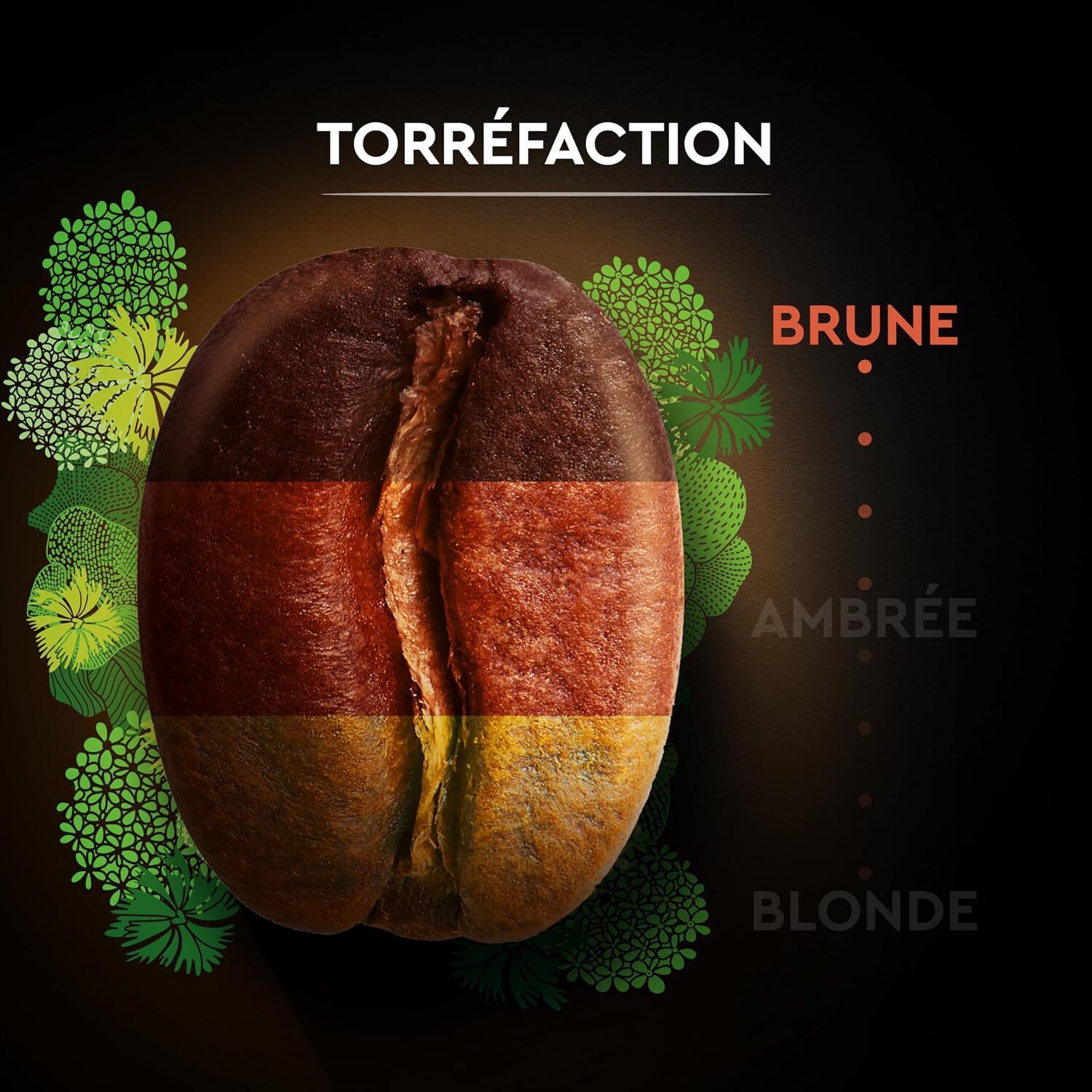 Carte Noire Bio Intense. Café en Grains Torréfiés. Pur Arabica Biologique. Paquet de 1 kg